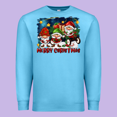 Merry Christmas Gnomies Wagon Premium Sweatshirt Designed By Fadigitalartstudio