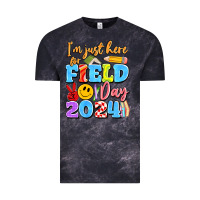 Cloud Black im just here for field day 2024 Vintage Tee - Artiststas