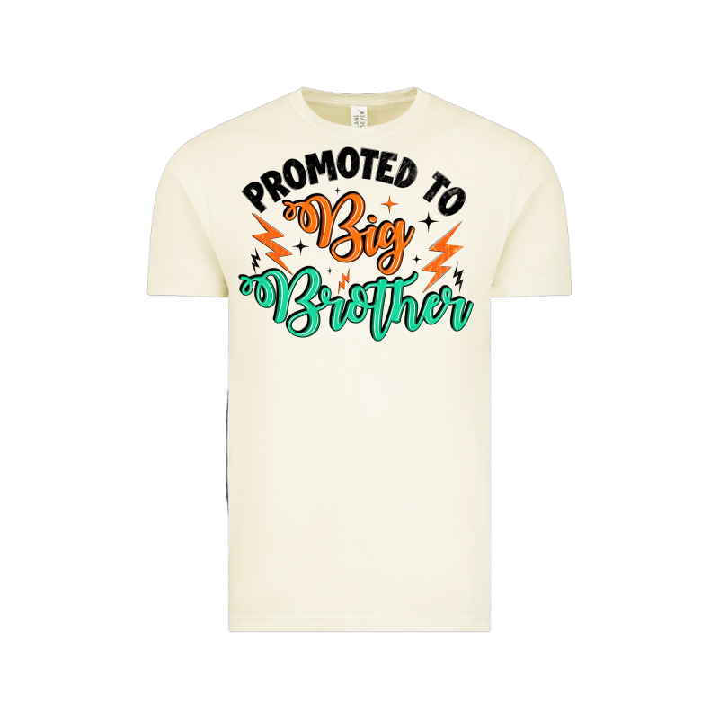 Promoted To Big Brother Vintage Tee by Artiststas | Teevron