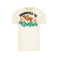 Vintage Arctic promoted to big brother Vintage Tee - Artiststas