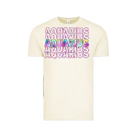 Vintage Arctic aquarius Vintage Tee - Artiststas
