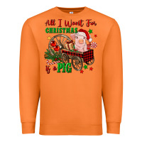 Carrot all i want for christmas is a pig Premium Sweatshirt - FaDigitalArtStudio