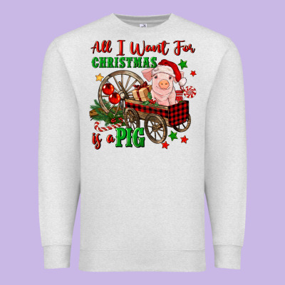All I Want For Christmas Is A Pig Premium Sweatshirt Designed By Fadigitalartstudio