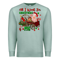 Seafoam all i want for christmas is a pig Premium Sweatshirt - FaDigitalArtStudio