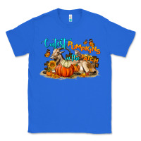 True Royal Fall Cutest Pumpkin In The Patch Classic Tee - LillyAllenDesigns