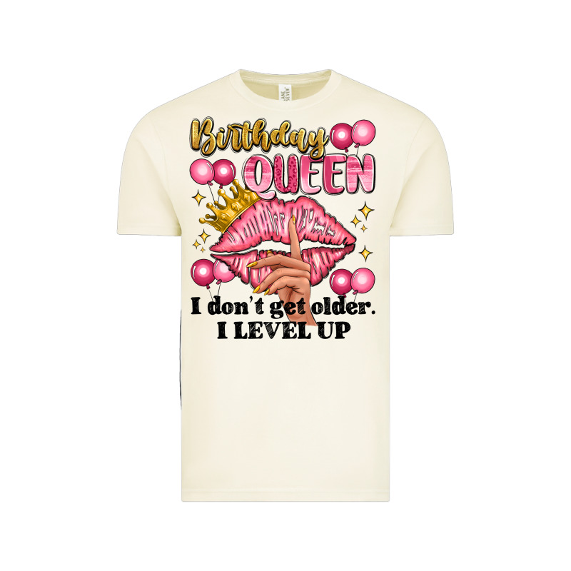 Birthday Queen I Dont Get Older I Level Up Vintage Tee by Artiststas | Teevron