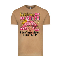 Vintage Camel birthday queen i dont get older i level up Vintage Tee - Artiststas