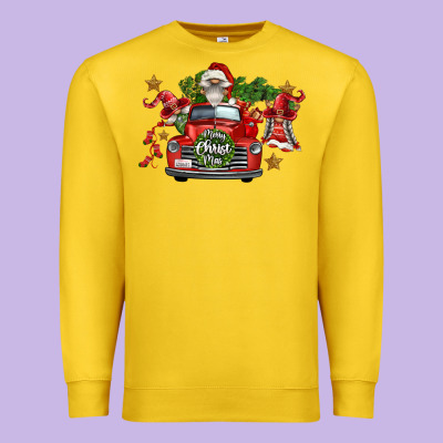 Merry Christmas Truck Gnomies Premium Sweatshirt Designed By Fadigitalartstudio