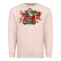 Pale Pink merry christmas truck gnomies Premium Sweatshirt - FaDigitalArtStudio