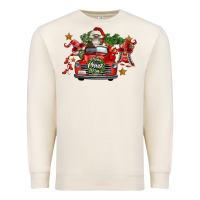 Sandshell merry christmas truck gnomies Premium Sweatshirt - FaDigitalArtStudio