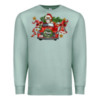 Seafoam merry christmas truck gnomies Premium Sweatshirt - FaDigitalArtStudio