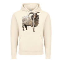 Vintage Artic navajo churro sheep Vintage Hoodie - LillyAllenDesigns