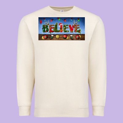 Christmas Believe License Plate Premium Sweatshirt Designed By Bundleandbundleshop