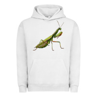 Pigment Lunar Rock mantis Urban Hoodie - LillyAllenDesigns