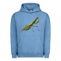 Pigment Pebble Blue mantis Urban Hoodie - LillyAllenDesigns