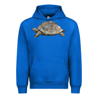 Cobalt Tortoise Illustrations Urban Hoodie - LillyAllenDesigns