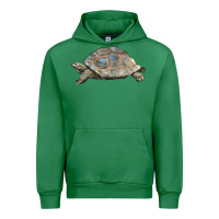 Emerald Tortoise Illustrations Urban Hoodie - LillyAllenDesigns