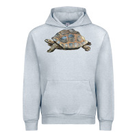 Heather Grey Tortoise Illustrations Urban Hoodie - LillyAllenDesigns