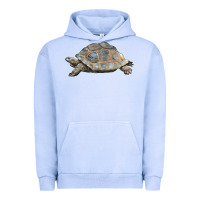 Pigment Grape Ice Tortoise Illustrations Urban Hoodie - LillyAllenDesigns