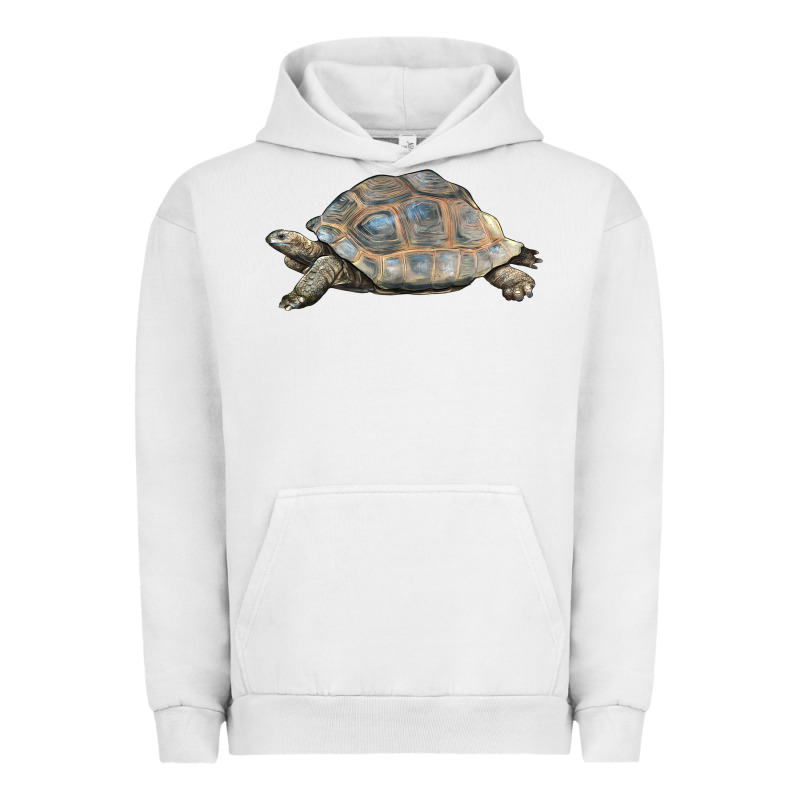 Tortoise Illustrations Urban Hoodie by LillyAllenDesigns | Teevron