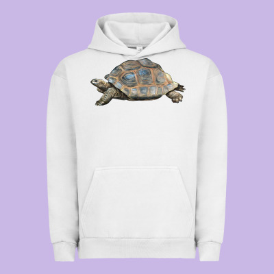 Tortoise Illustrations Urban Hoodie Designed By Lillyallendesigns