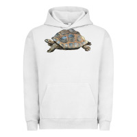 Pigment Lunar Rock Tortoise Illustrations Urban Hoodie - LillyAllenDesigns