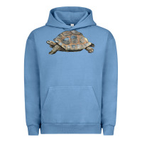 Pigment Pebble Blue Tortoise Illustrations Urban Hoodie - LillyAllenDesigns