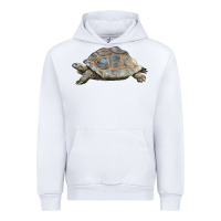 White Tortoise Illustrations Urban Hoodie - LillyAllenDesigns