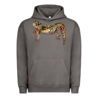 Pigment Tornado Gecko Lizard Illustrations Urban Hoodie - LillyAllenDesigns