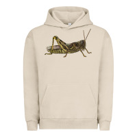 Pigment French Oak Grasshopper Urban Hoodie - LillyAllenDesigns