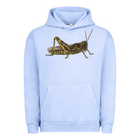 Pigment Grape Ice Grasshopper Urban Hoodie - LillyAllenDesigns