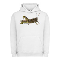 Pigment Lunar Rock Grasshopper Urban Hoodie - LillyAllenDesigns