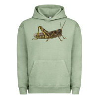 Pigment Oil Green Grasshopper Urban Hoodie - LillyAllenDesigns