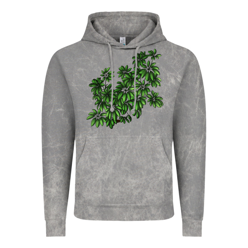 Botanical Schefflera Illustrations Vintage Hoodie by LillyAllenDesigns | Teevron