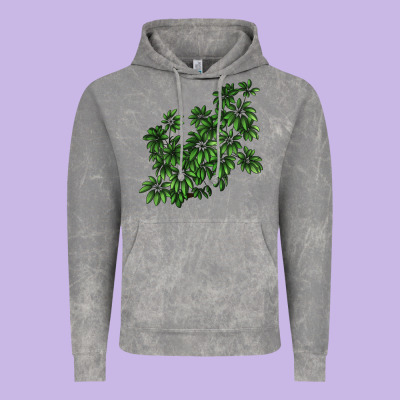 Botanical Schefflera Illustrations Vintage Hoodie Designed By Lillyallendesigns