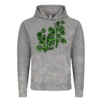 Cloud Rock Botanical Schefflera Illustrations Vintage Hoodie - LillyAllenDesigns
