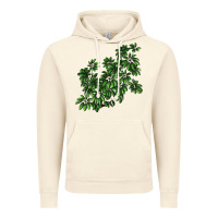 Vintage Artic Botanical Schefflera Illustrations Vintage Hoodie - LillyAllenDesigns