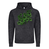 Vintage Black Botanical Schefflera Illustrations Vintage Hoodie - LillyAllenDesigns