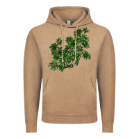 Vintage Coffee Botanical Schefflera Illustrations Vintage Hoodie - LillyAllenDesigns