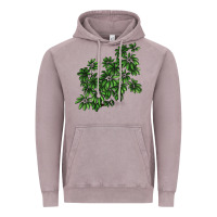 Vintage Zinc Botanical Schefflera Illustrations Vintage Hoodie - LillyAllenDesigns