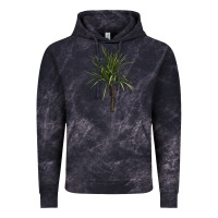 Cloud Black Dracaena Marginata Vintage Hoodie - LillyAllenDesigns