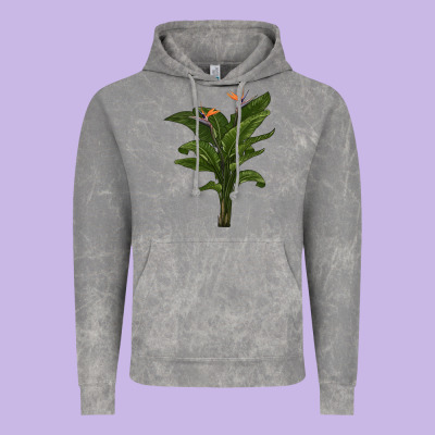 The Bird Of Paradise Vintage Hoodie Designed By Lillyallendesigns
