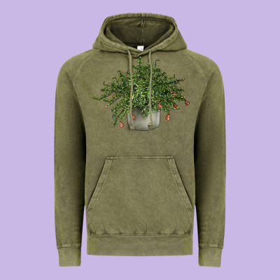 Dwarf Pomegranate Tree Illustrations Vintage Hoodie Designed By Lillyallendesigns