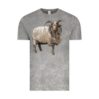 Cloud Rock navajo churro sheep Vintage Tee - LillyAllenDesigns