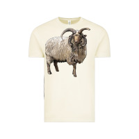 Navajo Churro Sheep Vintage Tee | Teevron