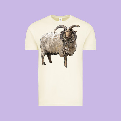 Navajo Churro Sheep Vintage Tee Designed By Lillyallendesigns