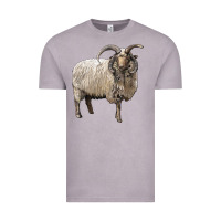 Vintage Zinc navajo churro sheep Vintage Tee - LillyAllenDesigns