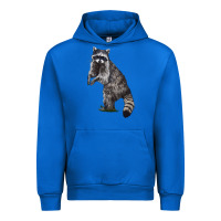 Cobalt Raccoon Illustrations Urban Hoodie - LillyAllenDesigns