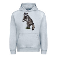Heather Grey Raccoon Illustrations Urban Hoodie - LillyAllenDesigns