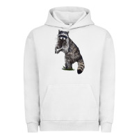 Pigment Lunar Rock Raccoon Illustrations Urban Hoodie - LillyAllenDesigns